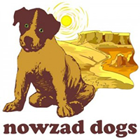 Nowzad dogs