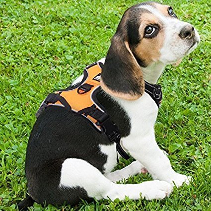 Rabbitgoo Adjustable Reflective Dog Harness